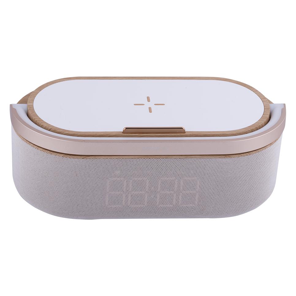 Winner Group Winradrepwood (FM, Bluetooth) (WINRADREPWOOD)