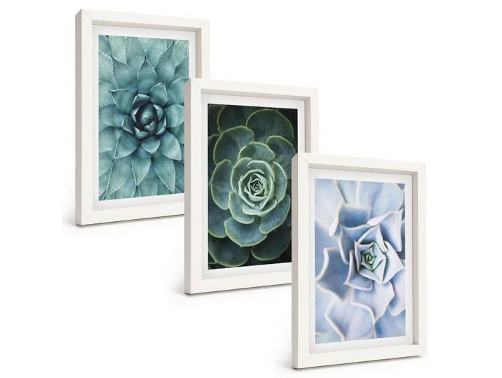 Tulup Bilder SET 3er Set - 20x30 cm Weißer Rahmen - Sukkulente Pflanzen grün türkis, Kunststoff, Rechteckig, 20x30 cm, einfache und schnelle Anbringung, Bilder & Rahmen, Bilder