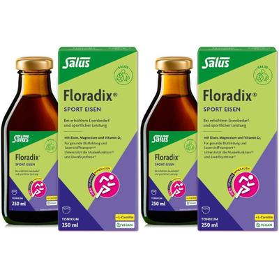 Floradix Sport Eisen Tonikum 2x 2x250 ml