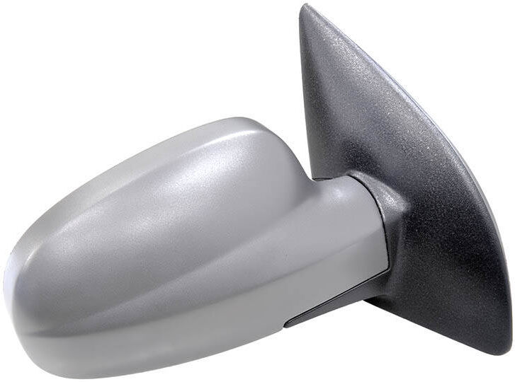 TYC 306-0010 Wing mirror