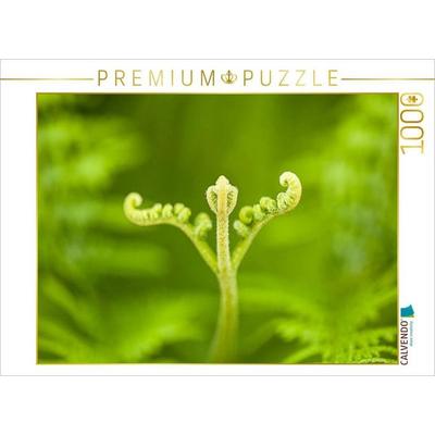 CALVENDO Puzzle Adlerfarn (Pteridium aquilinum) | 1000 Teile Lege-Größe 64x48cm Foto-Puzzle für glückliche Stunden, Sonstige von , Calvendo Puzzle