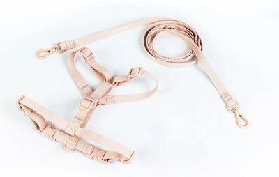 Uplifted Finds Macaron Series Dual Head Designer Harness & Leash Set pink l
