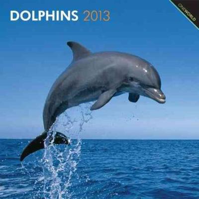 Dolphins Wall Calendar 2013