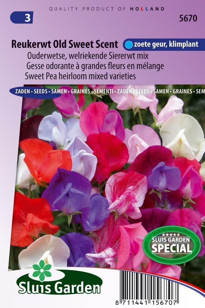 Sluis Garden Lathyrus Odoratus zaden Old Sweet Scent reukerwt