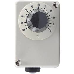 Jumo 60001004 Temperaturregler 0 bis 100 °C Relais 10 A
