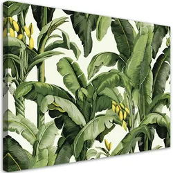 LEINWANDBILD Grüne Bananenblätter 90x60cm