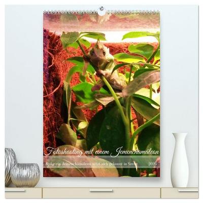 Fotoshooting mit einem Jemenchamäleon (hochwertiger Premium Wandkalender 2026 DIN A2 hoch), Kunstdruck in Hochglanz