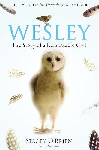 Stacey O'Brien - Wesley: The Remarkable Story of an Owl - Preis vom 17.10.2026 19:25:27 h