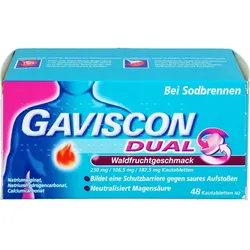 Gaviscon Dual Waldfrucht 250 mg/106.5 mg/187.5 mg 48 ST