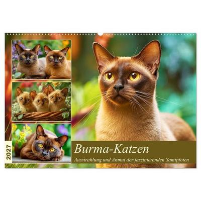 Burma-Katzen. Ausstrahlung und Anmut der faszinierenden Samtpfoten (Wandkalender 2027 DIN A2 quer), CALVENDO Monatskalender