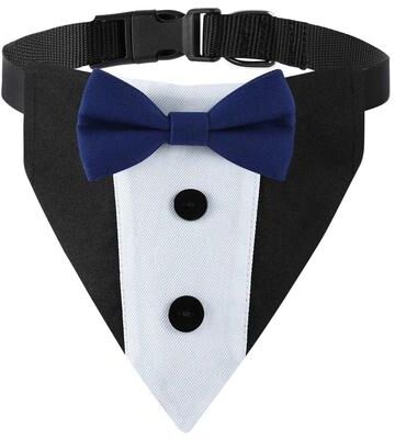 Uplifted Finds Sucado Distinguished Gentleman Wedding Bandana & Collar a m
