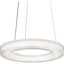 RIDI SPI0000105 SPI0000105 LED-Pendelleuchte LED 78 W Transparent