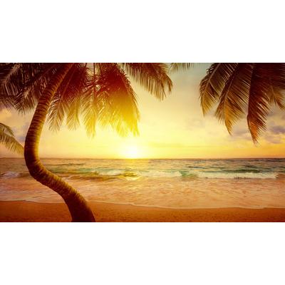 Papermoon "Tropischer Strand Sonnenaufgang"