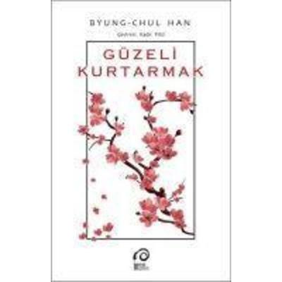 Güzeli Kurtarmak, Taschenbuch von Byung-Chul Han, Insan Yayinlari, 978-975-574-886-3