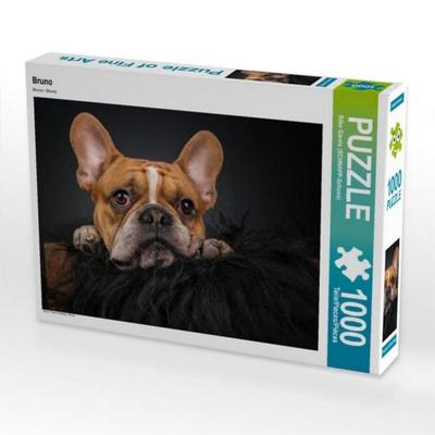 CALVENDO Puzzle Bruno 1000 Teile Lege-Größe 640 x 480 cm Foto-Puzzle Bild von Silke Gareis (SCHNAPP-Schuss)