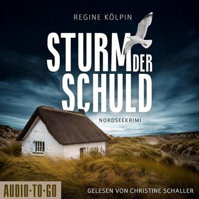 Sturm der Schuld - Regine Kölpin, Audio, 9783692070414