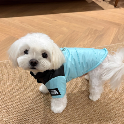 Silver Stone Store Small To Medium Dog Cute Winter Clothing, Pet Warm Cotton Coat Two legged, Thickened Teddy Down Jacket blue l