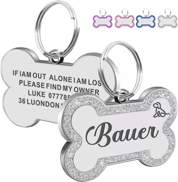 Inspire Picks SparkTag Custom Glitter Pet ID Tag Double Sided Personalized Dog & Cat Name Pendant silver l 47x30mm