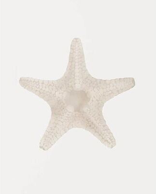 Uplifted Finds Watercolor Seashore Canvas   Coastal Shell & Starfish Print   Executive Studio & Beachfront Sanctuary Decor 5 1 Pc 50 X 70 Cm No Frame