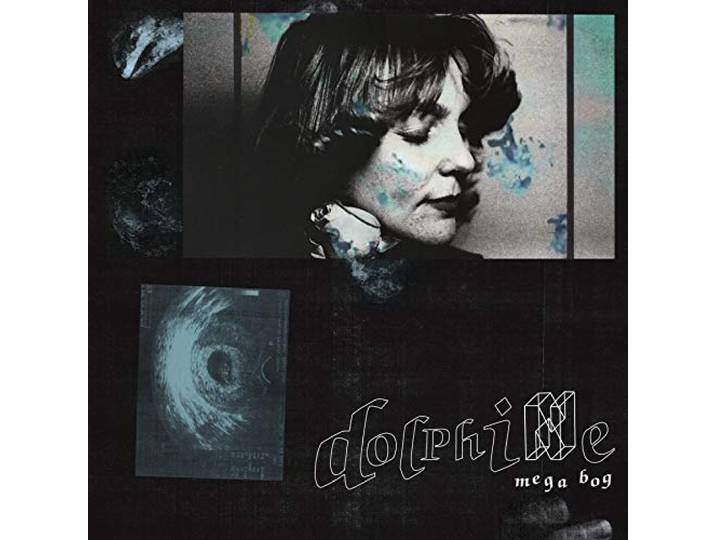 Mega Bog - Dolphine