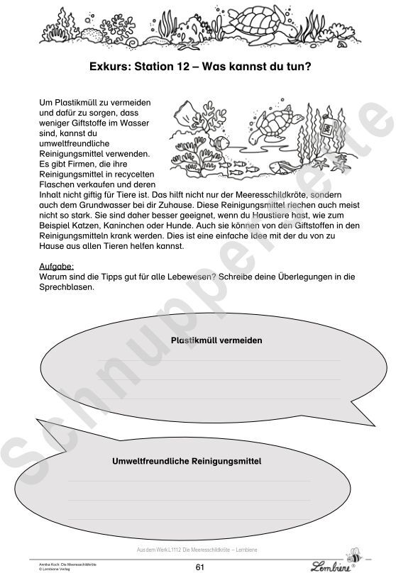 Lernbiene Die Meeresschildkröte