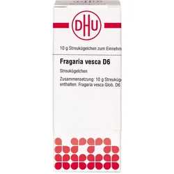 Fragaria Vesca D 6 10 G