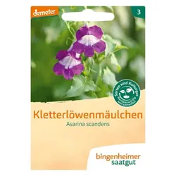 Bingenheimer Saatgut Kletterlöwenmäulchen demeter