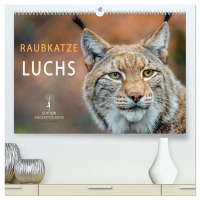 Raubkatze Luchs (hochwertiger Premium Wandkalender 2027 DIN A2 quer), Kunstdruck in Hochglanz