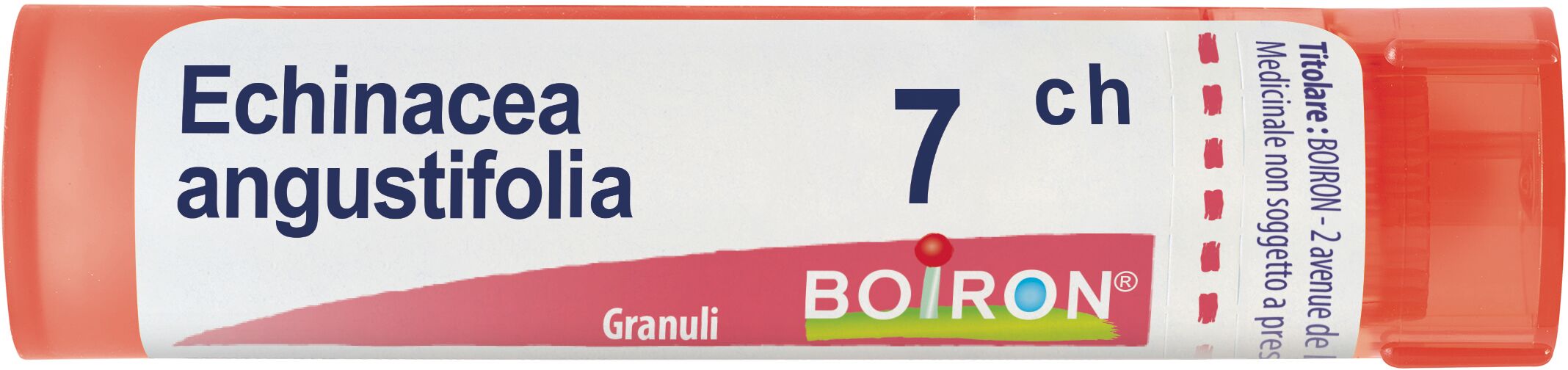 Boiron Echinacea Angustifol 7 Ch Tubo 2020