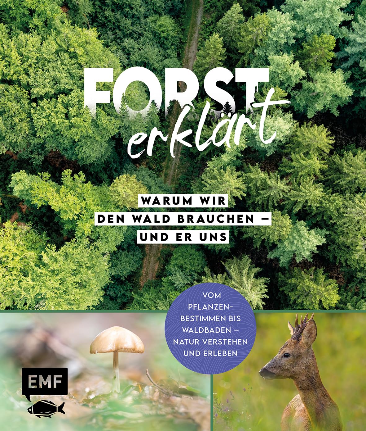 Forst erklärt - Forst erklärt: Warum wir den Wald brauchen – und er uns: Natur verstehen und erleben: vom Pflanzenbestimmen bis Waldbaden Mit vielen Porträts zur Bestimmung von Bäumen, Pflanzen, Tieren - Preis vom 15.10.2026 23:06:25 h