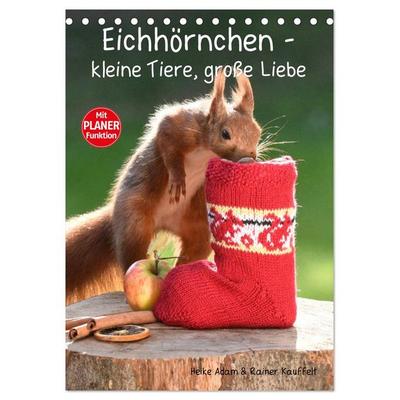 Eichhörnchen - kleine Tiere, große Liebe (Tischkalender 2026 DIN A5 hoch), CALVENDO Monatskalender