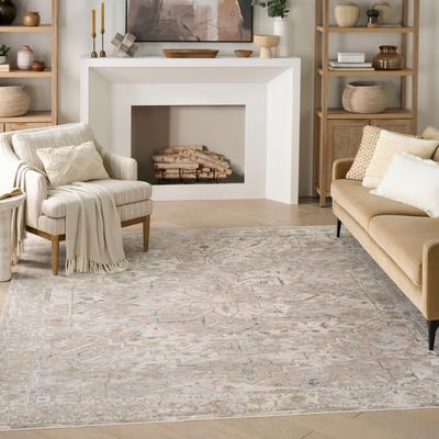 Nourison Antique Fusion Indoor only Grey Persian Area Rug