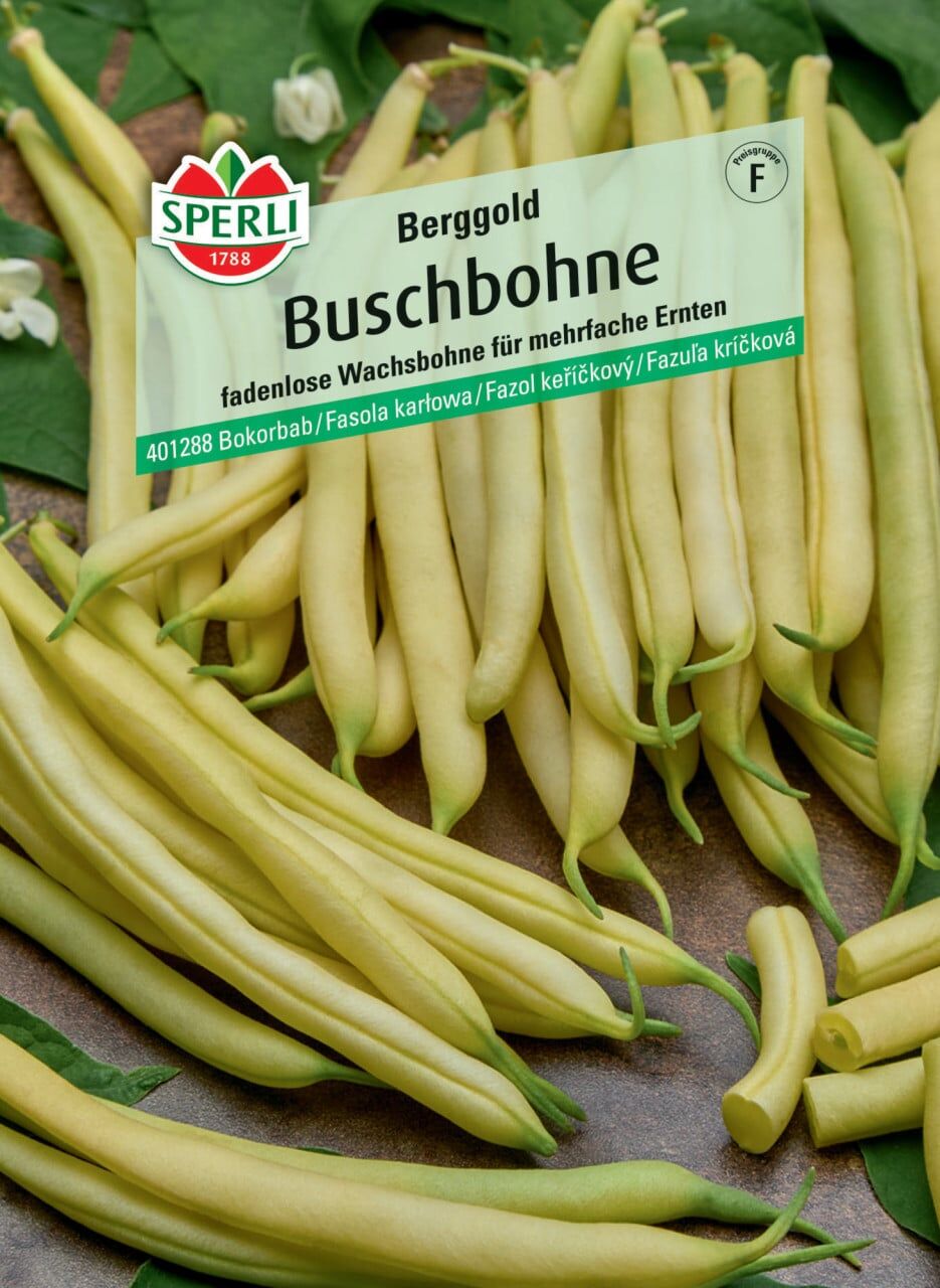 Sperli Buschbohne Berggold
