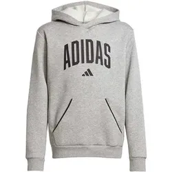 ADIDAS Kinder Kapuzensweat Seasonals Essentials Collegiate Typography Kids, Größe 140 in Grau Grau