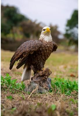 Hi-Line Gift Motion Activated Singing Eagle