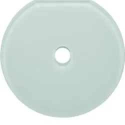 Berker Glas-Endplatte Schalter 109409