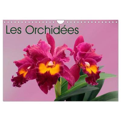 Les Orchidées (Calendrier mural 2026 DIN A4 vertical), CALVENDO calendrier mensuel