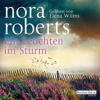 Ein Leuchten im Sturm - Nora Roberts, Audio, 9783837136074