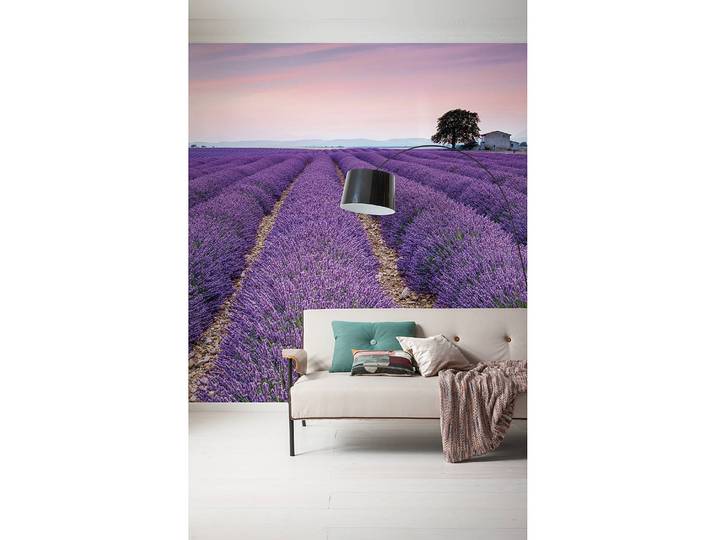Papier peint Provence 300 x 250 x 0cm