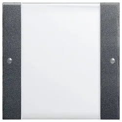 GIRA Wippenset 213128 1fach BSF System 55 Klar/ant