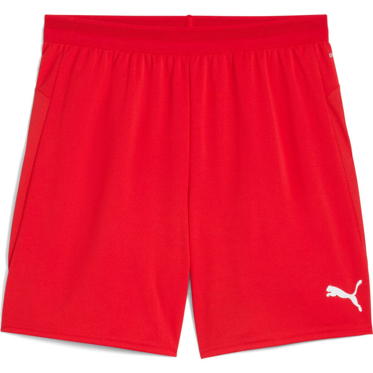 Puma Teamgoal Handball Shorts W sport green-puma white (05) XL 706019-05-XL