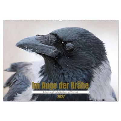 Im Auge der Krähe (Wandkalender 2027 DIN A2 quer), CALVENDO Monatskalender