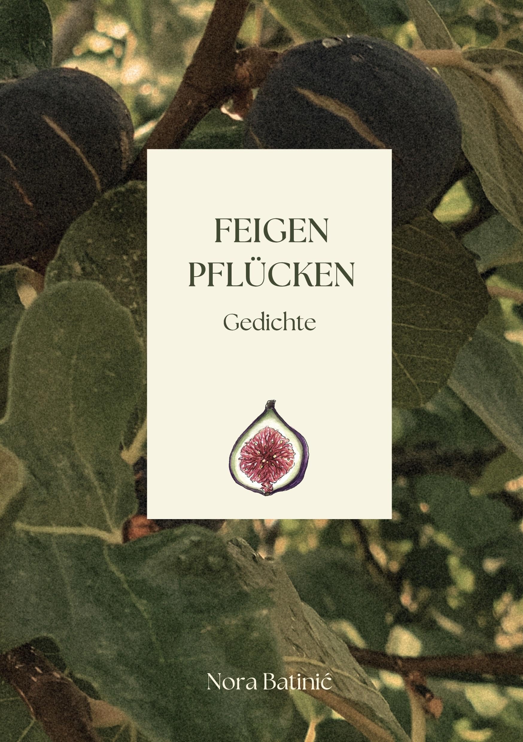 Nora Batinic - Feigen pflücken: Gedichte - Preis vom 13.10.2026 11:25:28 h