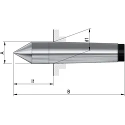 Röhm Feste Zentrierspitzen, Aufnahme MK 6, DIN 806, volle Spitze Werkstoff: WS - 013718