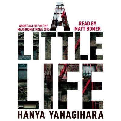 A Little Life - Hanya Yanagihara, Audio, 9781035070640