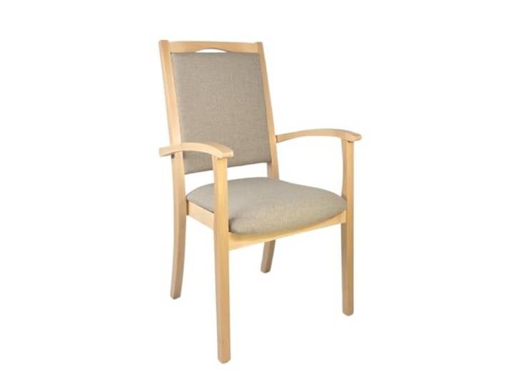 Erides Alexander Hochlehner Seniorenstuhl – Ergonomischer Armlehnenstuhl für Senioren und Pflege