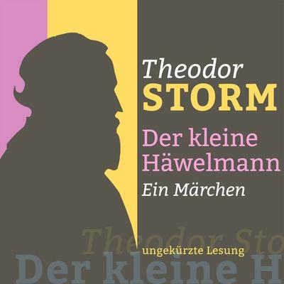 Theodor Storm: Der kleine Häwelmann - Theodor Storm, Audio, 9783955974947