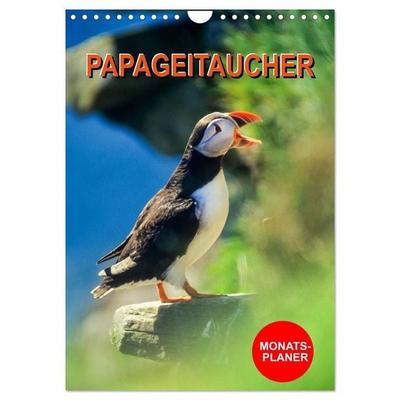 Papageitaucher Monatsplaner (Wandkalender 2027 DIN A4 hoch), CALVENDO Monatskalender