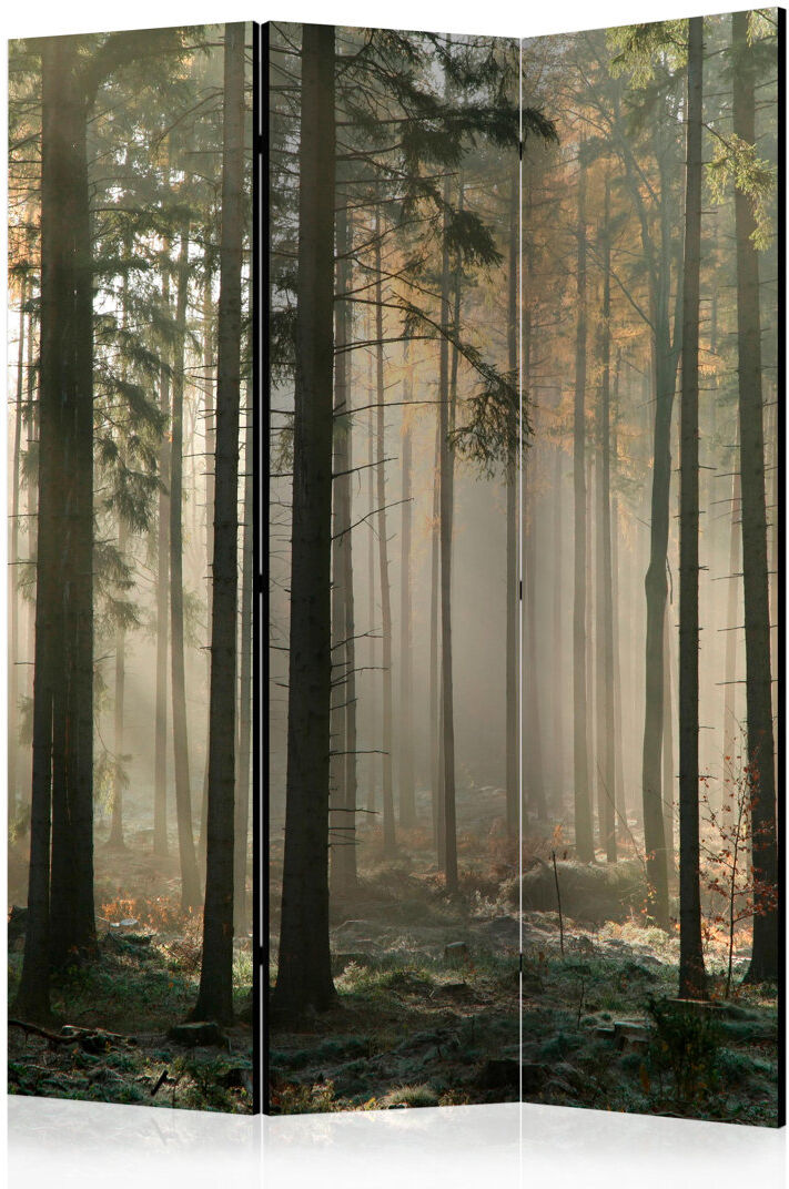 East Urban Home Room Divider - Foggy November Morning [Room Dividers] Green;Brown 172cm H X 135cm W X 3cm D