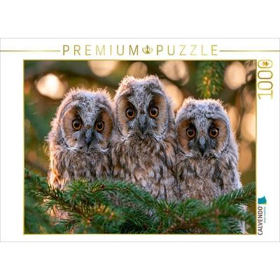 CALVENDO Puzzle Waldohreulen, junges Leben unter dem Blätterdach | 1000 Teile Lege-Größe 64x48cm Foto-Puzzle für glückliche Stunden